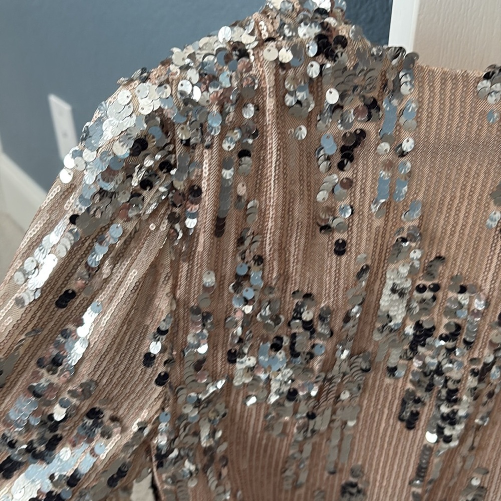 ASTR The Label Primadonna Silver & Tan Sequin Top - Small, 4 - 6 - Picture 13 of 14